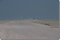 etosha2008bild067.jpg