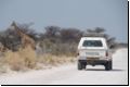 etosha2008bild082.jpg
