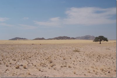 namib2008bild006.jpg