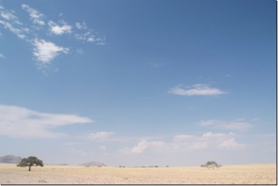 namib2008bild007.jpg