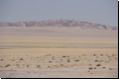 namib2008bild004.jpg