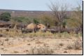 nordnamibia2008bild019.jpg