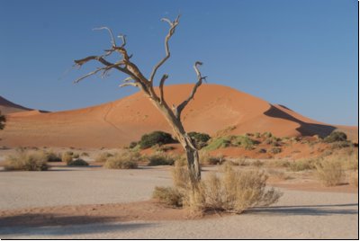 sossusvlei2008bild001.jpg