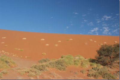 sossusvlei2008bild005.jpg