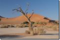 sossusvlei2008bild001.jpg