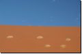 sossusvlei2008bild004.jpg