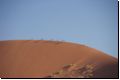 sossusvlei2008bild028.jpg