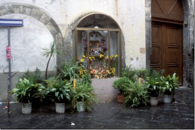 napoli2006bild020.jpg