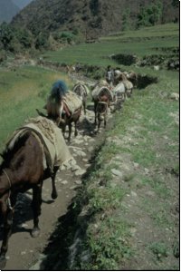 nepal1989bild014.jpg