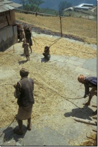 nepal1989bild032.jpg