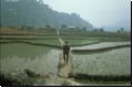 nepal1989bild043.jpg