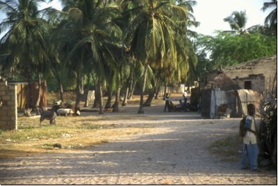 senegal2001bild020.jpg