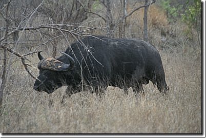 suedafrika2003bild038.jpg