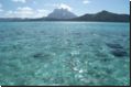 borabora2009bild014.jpg