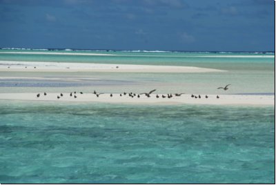 cookislands2009bild030.jpg