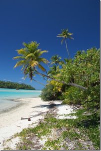cookislands2009bild061.jpg