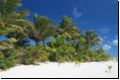 cookislands2009bild034.jpg