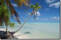cookislands2009bild054.jpg