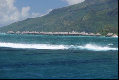 moorea2009bild030.jpg