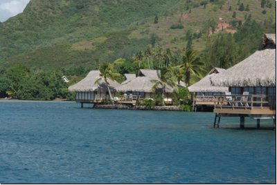 moorea2009bild043.jpg