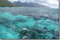 moorea2009bild036.jpg