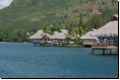 moorea2009bild043.jpg