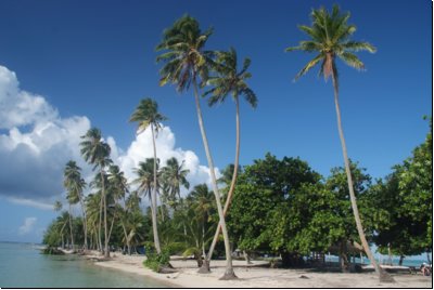 raiatea2009bild026.jpg