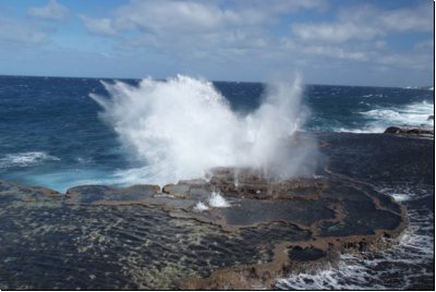 tonga2009bild035.jpg
