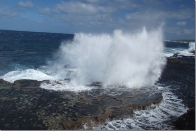 tonga2009bild039.jpg