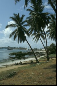 tanzania1990bild001.jpg
