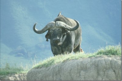 tanzania1990bild022.jpg