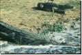 uganda1997bild036.jpg