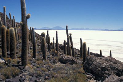bild_gross_bolivien_2003_036.jpg
