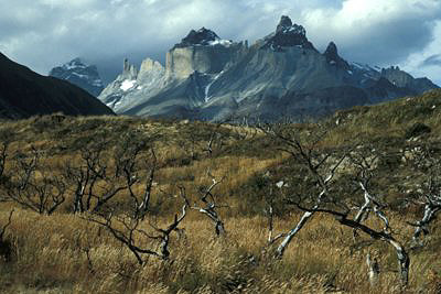 bild_gross_chile_021.jpg