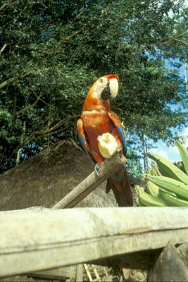 bild_gross_ecuador_019.jpg