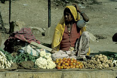 bild_gross_indien_2003_042.jpg