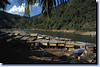 bild_klein_laos_012.png