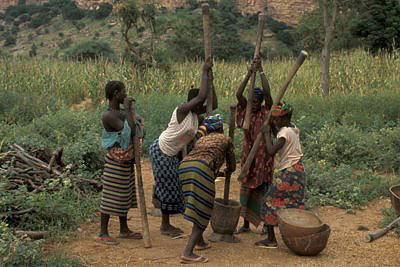 bild_gross_mali_2003_014.jpg