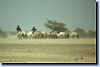 bild_klein_mali_2003_045.png