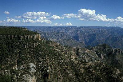 bild_gross_mexico_046.jpg