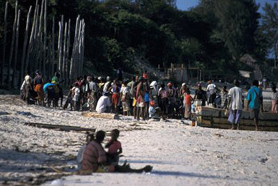 bild_gross_mozambique_016.jpg