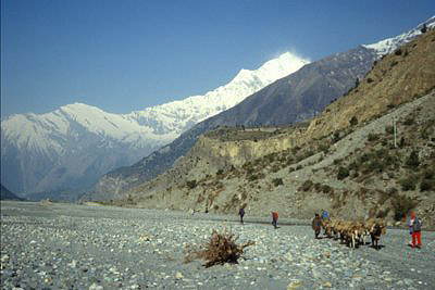 bild_gross_nepal_033.jpg