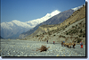 bild_klein_nepal_033.png