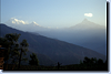 bild_klein_nepal_037.png
