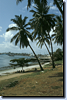 bild_klein_tanzania_001.png