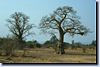 bild_klein_zambia_032.png