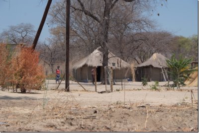 chobe2008bild002.jpg