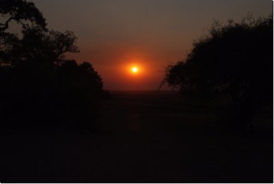 chobe2008bild018.jpg