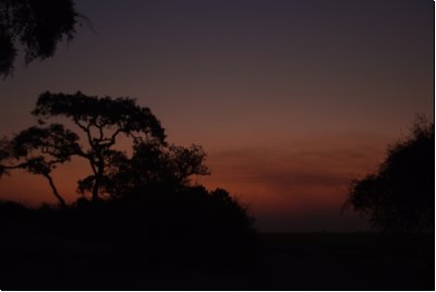 chobe2008bild020.jpg