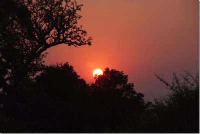 chobe2008bild043.jpg